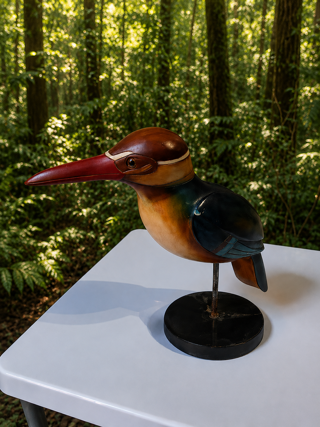 Feathers of Knysna birds for sale