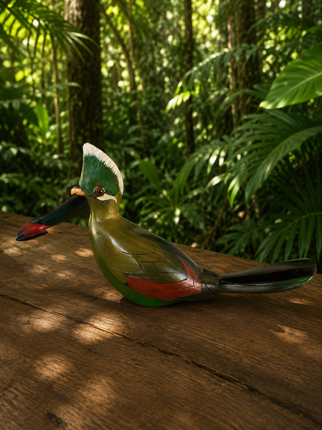 Knysna Loerie - Feathers of Knysna