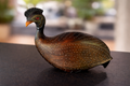 Crowned Guinea fowl
