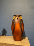 Owl - Feathers of Knysna