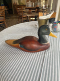 Mallard - Feathers of Knysna