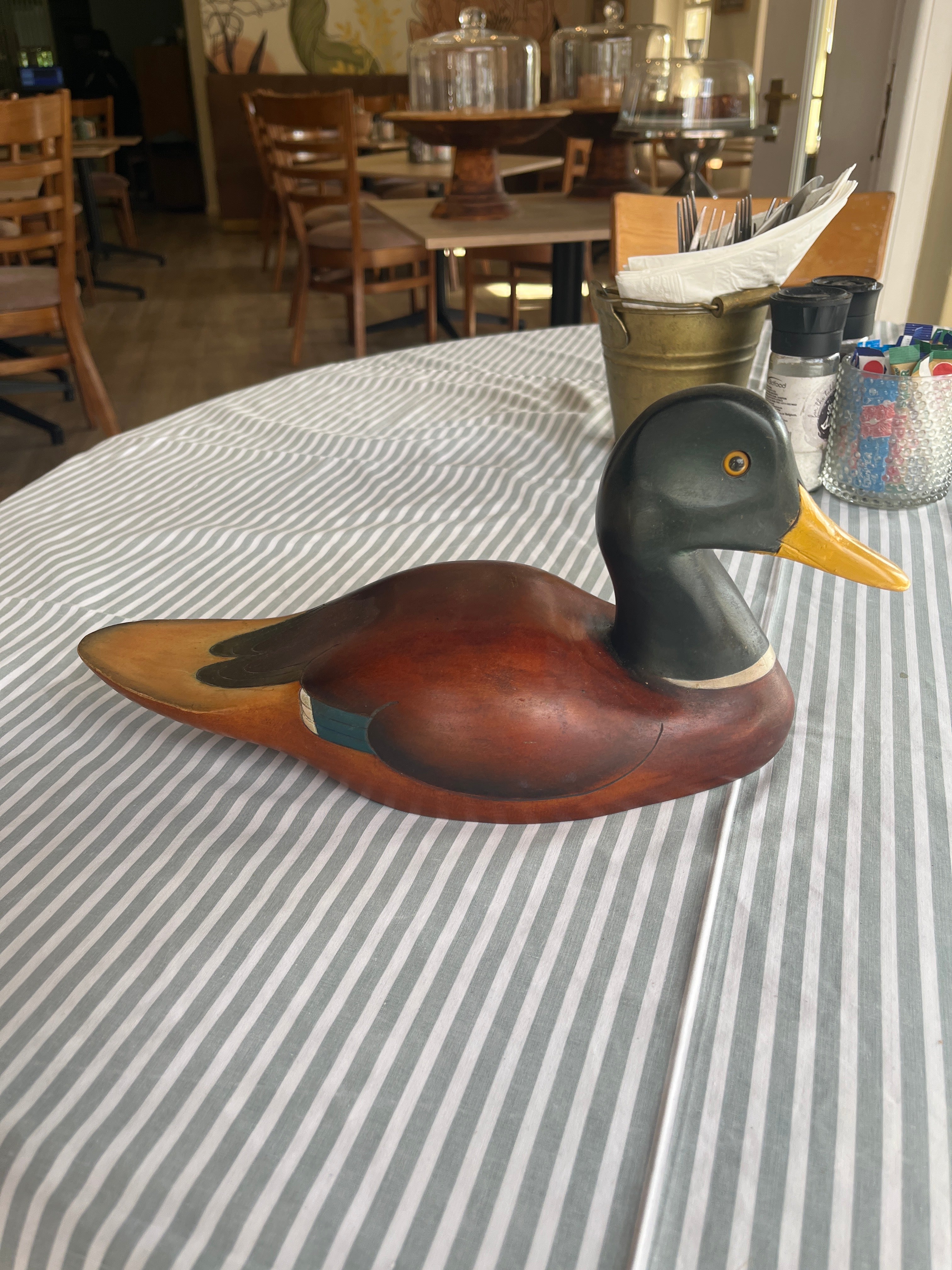 Mallard - Feathers of Knysna