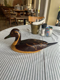 Pintail - Feathers of Knysna