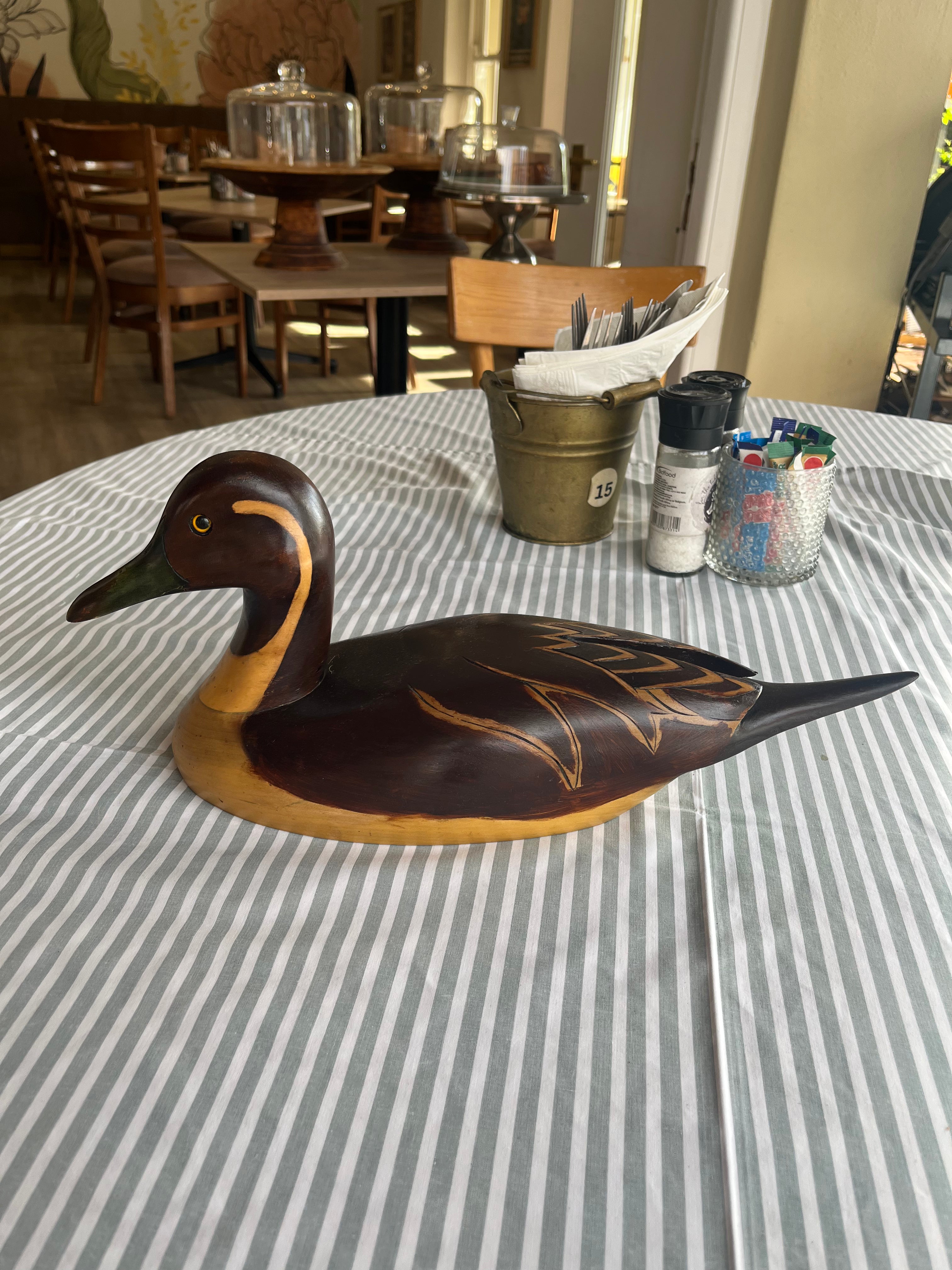 Pintail - Feathers of Knysna