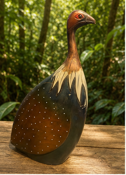 Vulturine Guinea fowl