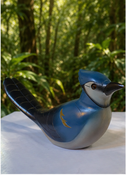 Blue Jay - Feathers of Knysna