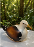 Seagull - Feathers of Knysna