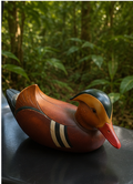 Mandarin Duck - Feathers of Knysna