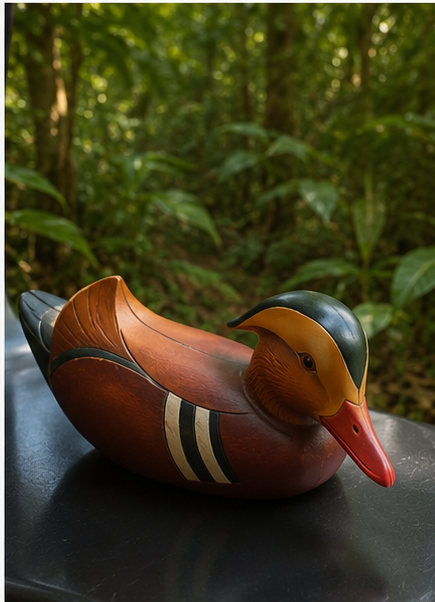 Mandarin Duck - Feathers of Knysna