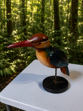 Brown Hooded Kingfisher