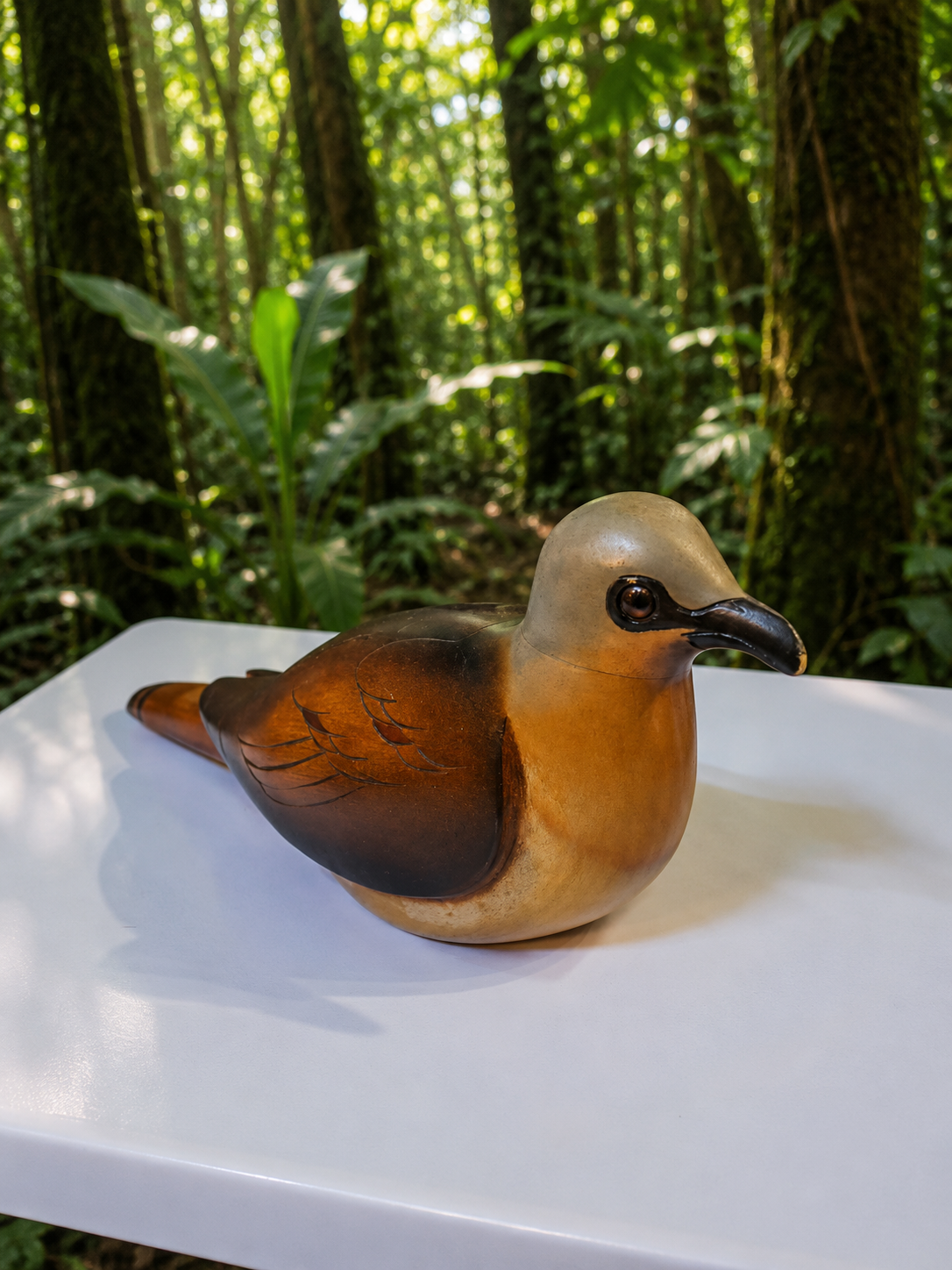 Namaqua Dove