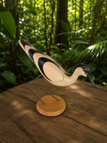 Avocet - Feathers of Knysna